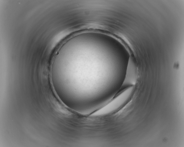 X0000092021115200709201546