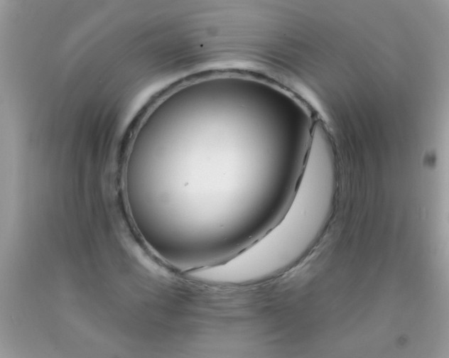 X0000092021116200709201546