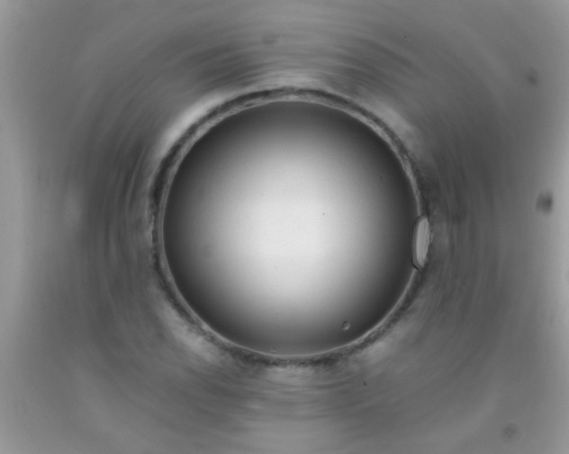 X0000092021118200709201546