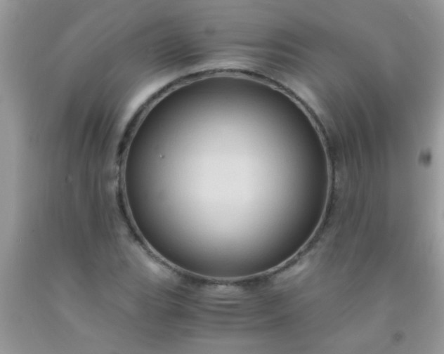 X0000092021119200709201546