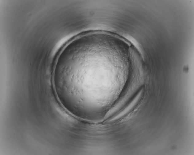 X0000092021120200709201546