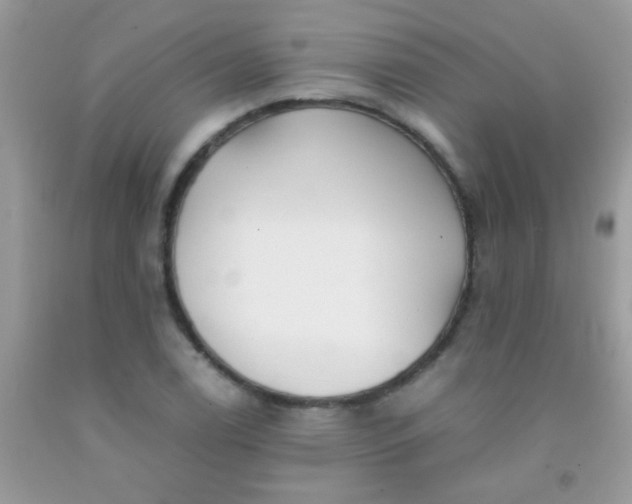 X0000092021122200709201546