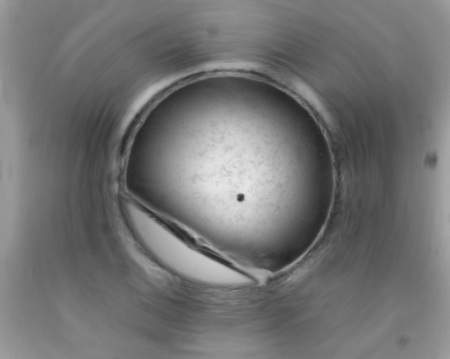 X0000092021124200709201546