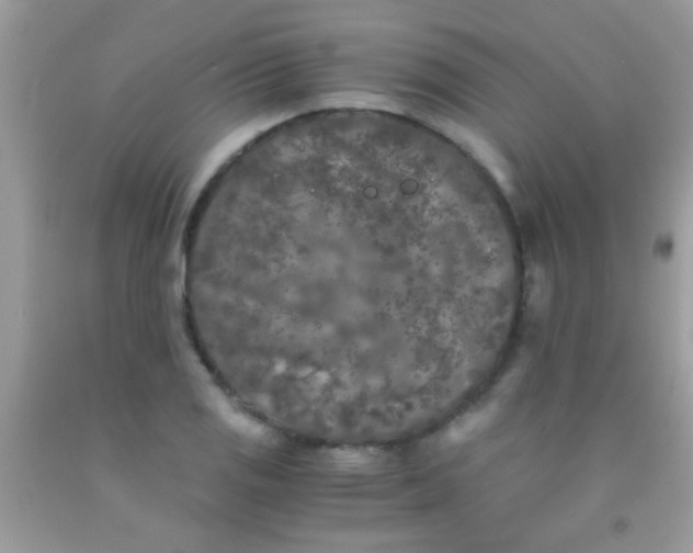 X0000092021125200709201546