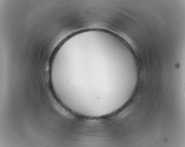 X0000092021126200709201546