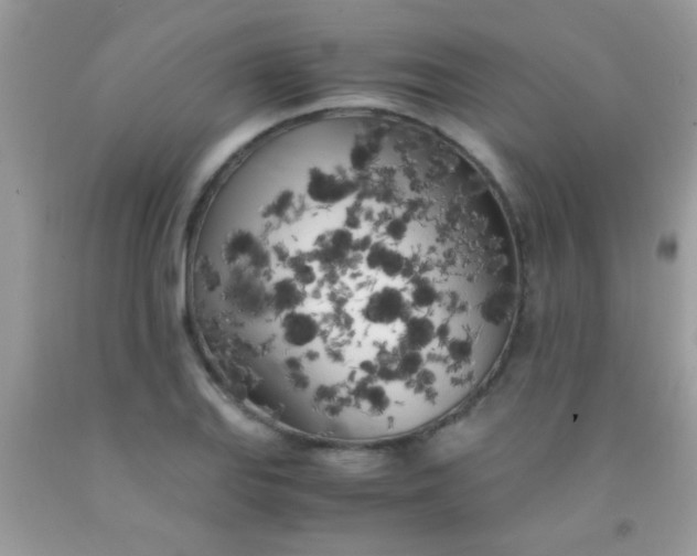 X0000092021127200709201546