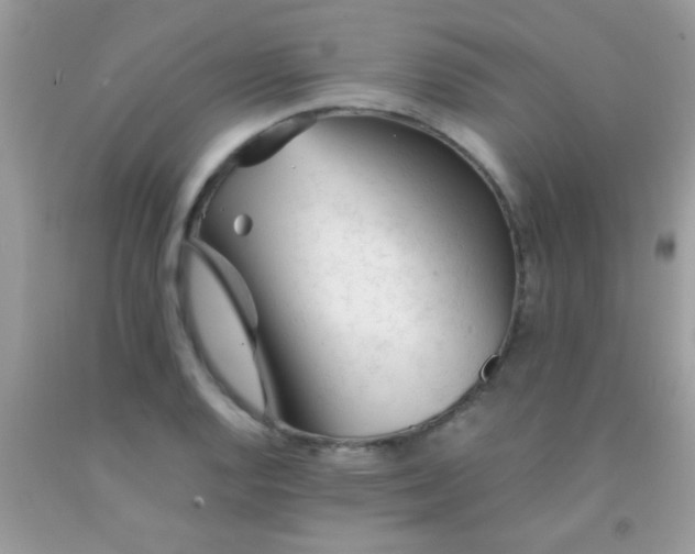 X0000092021128200709201546