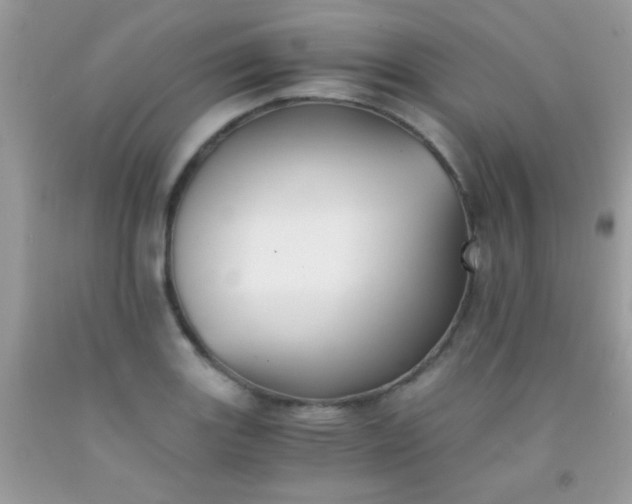 X0000092021131200709201546