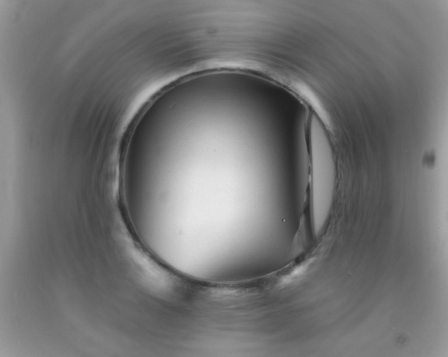 X0000092021132200709201546