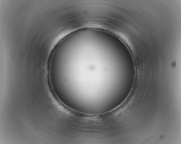 X0000092021133200709201546