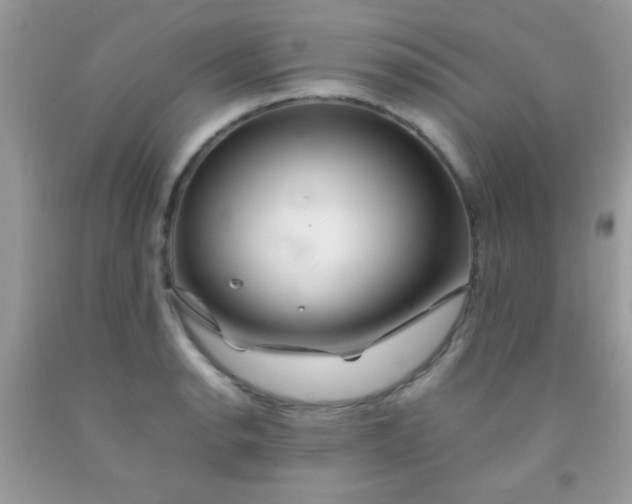 X0000092021134200709201546