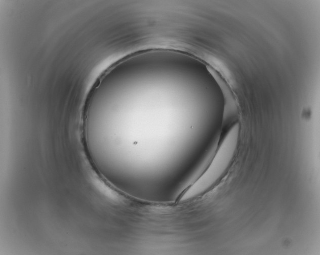 X0000092021136200709201546