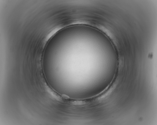 X0000092021137200709201546