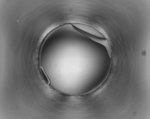 X0000092021138200709201546