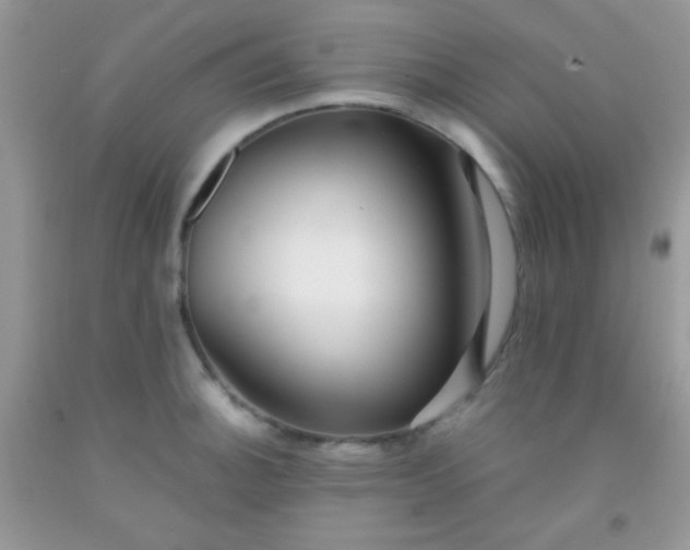 X0000092021140200709201546