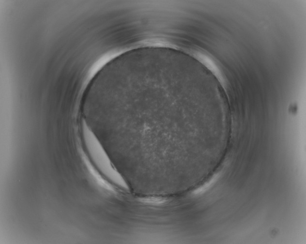 X0000092021141200709201546