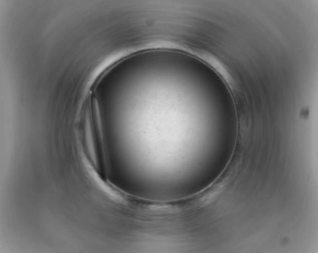 X0000092021142200709201546