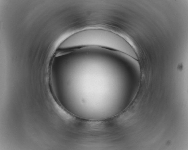 X0000092021143200709201546