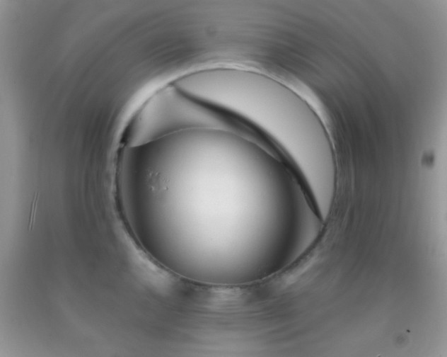 X0000092021144200709201546