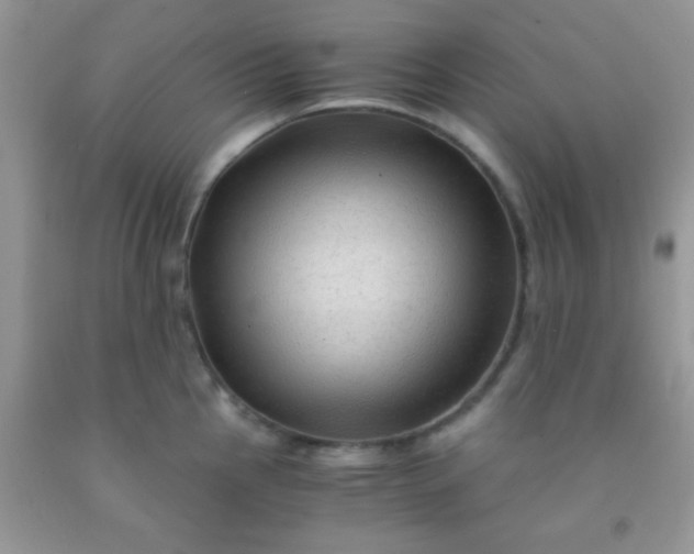 X0000092021145200709201546