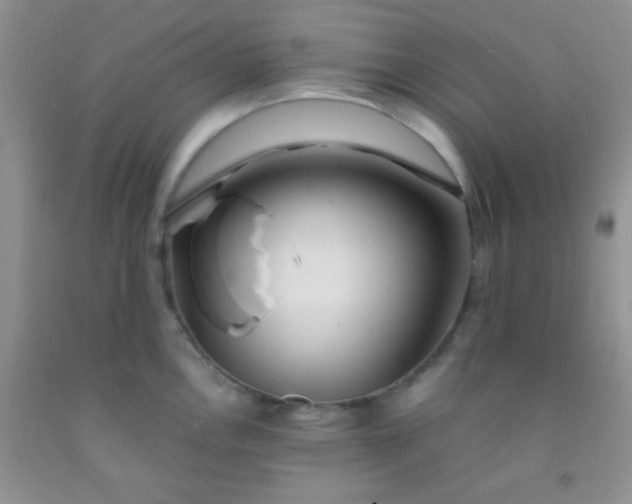 X0000092021146200709201546