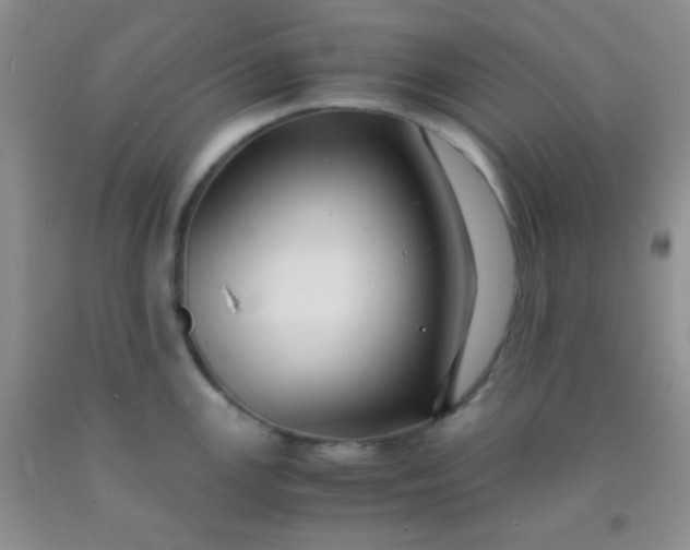 X0000092021147200709201546