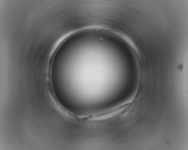 X0000092021148200709201546