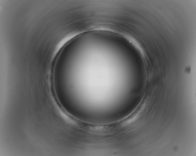 X0000092021149200709201546