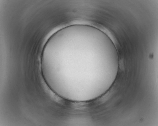 X0000092021150200709201546