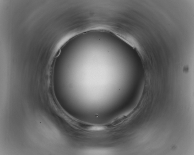 X0000092021151200709201546