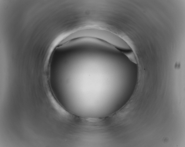 X0000092021152200709201546