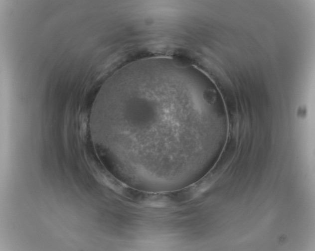 X0000092021154200709201546