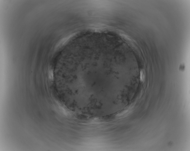 X0000092021155200709201546