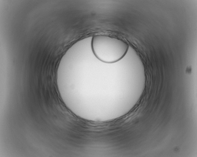 X0000092021156200709201546