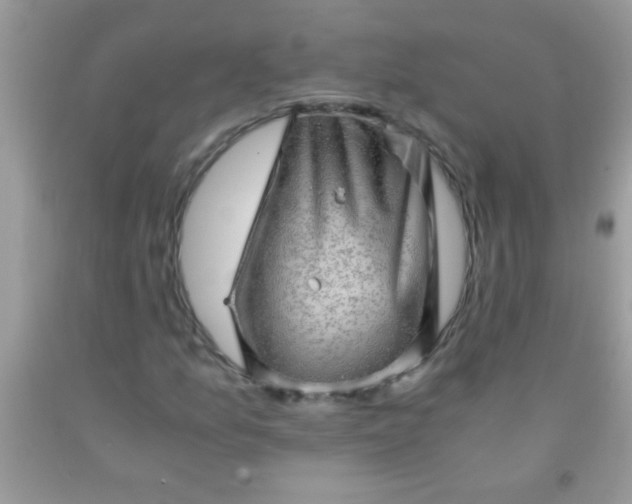 X0000092021157200709201546