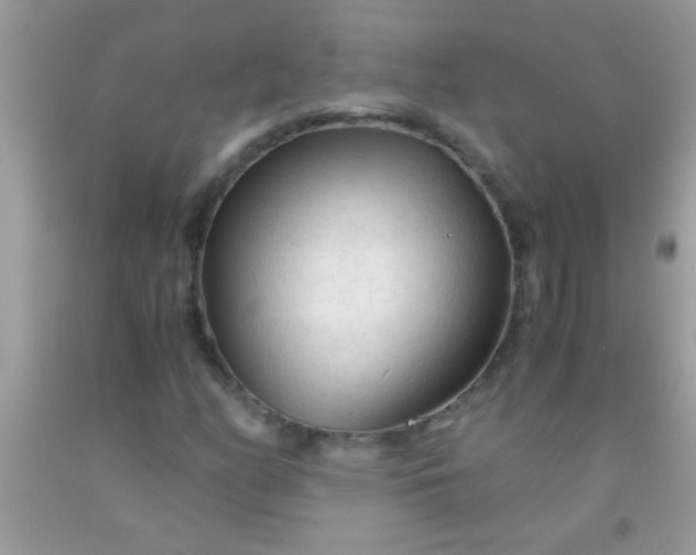 X0000092021158200709201546