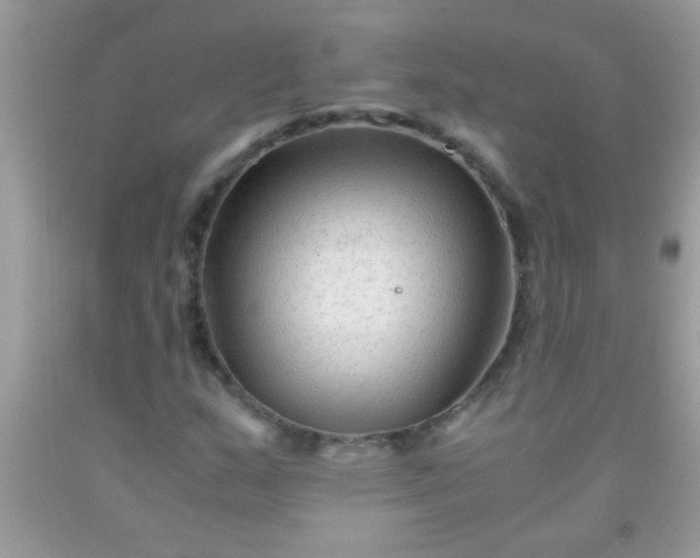 X0000092021159200709201546