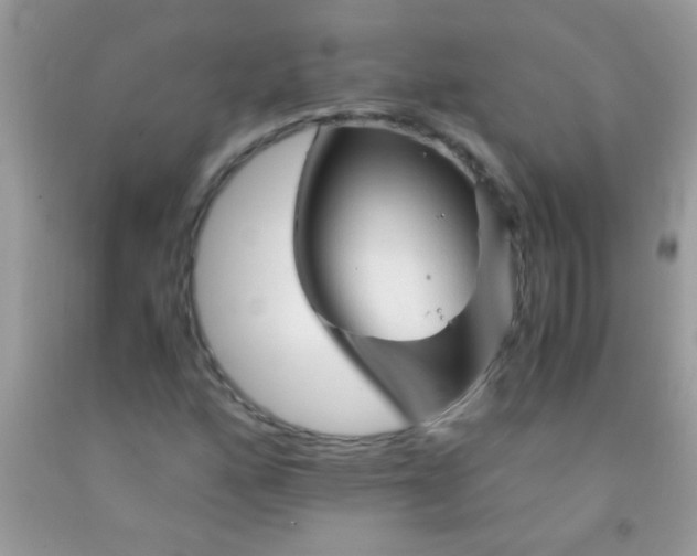 X0000092021160200709201546