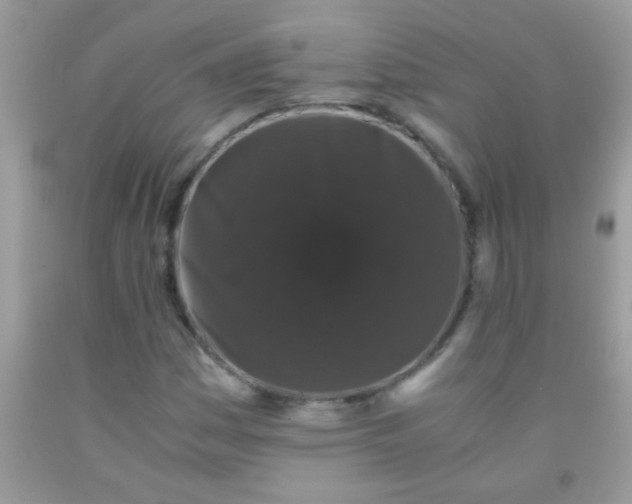 X0000092021161200709201546