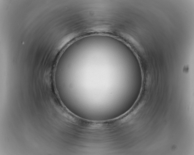 X0000092021162200709201546