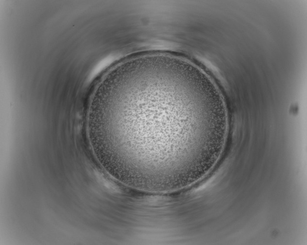 X0000092021163200709201546