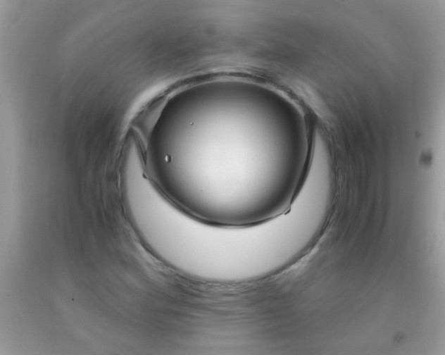 X0000092021164200709201546