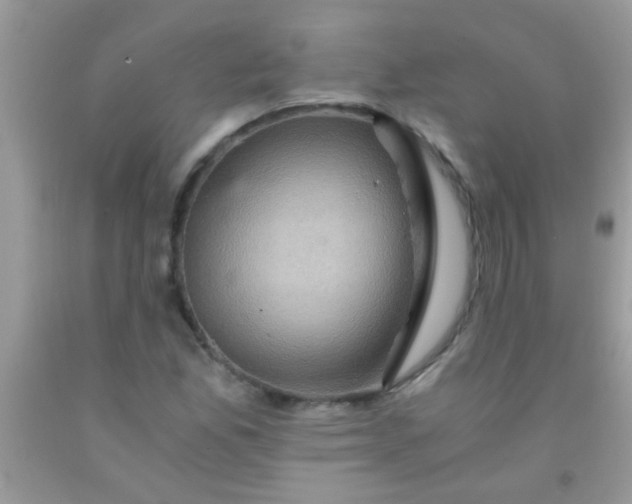 X0000092021165200709201546