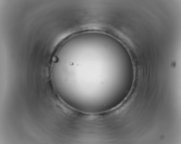 X0000092021166200709201546