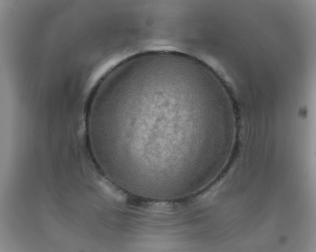 X0000092021167200709201546