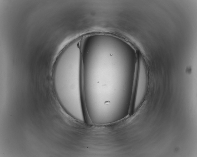 X0000092021168200709201546