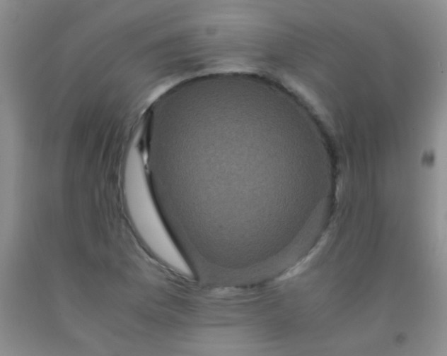 X0000092021169200709201546