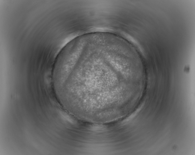 X0000092021170200709201546