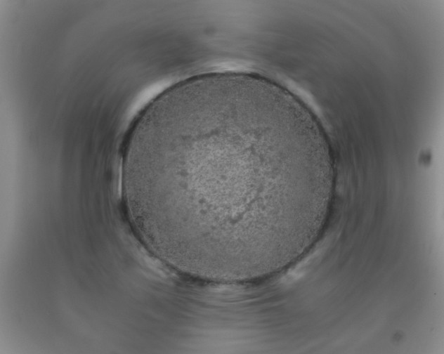 X0000092021171200709201546