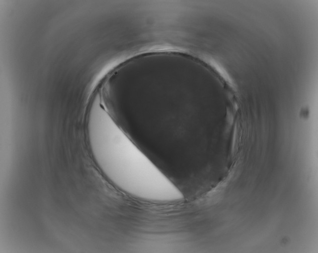 X0000092021173200709201546